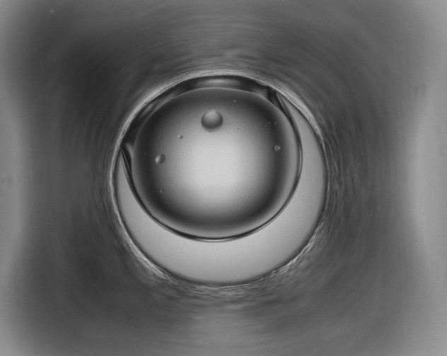 X0000116681197200912211617