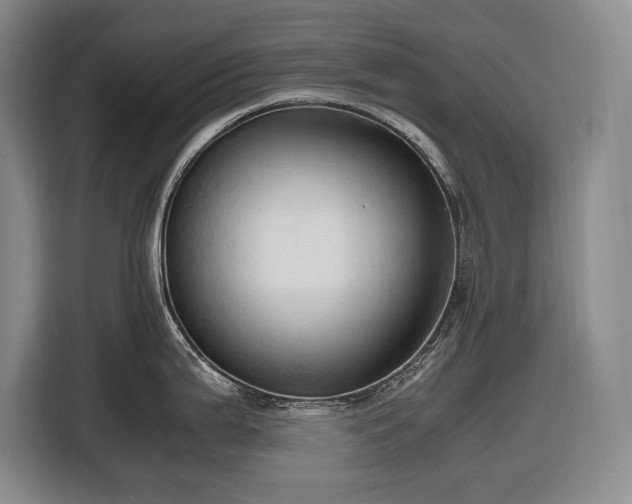 X0000116681199200912211617