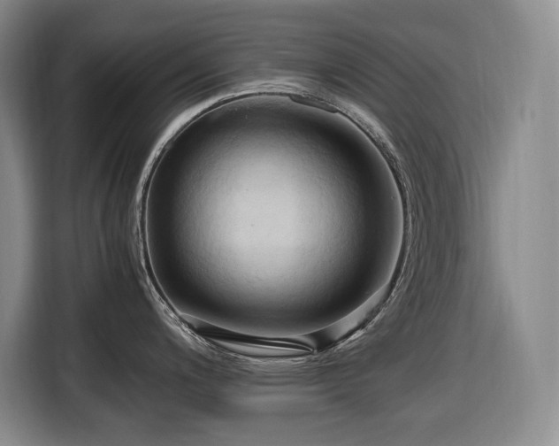 X0000116681200200912211617