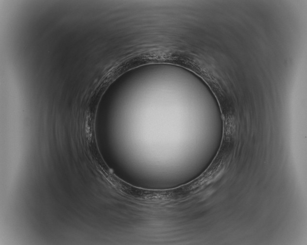 X0000116681202200912211617