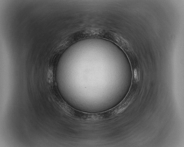 X0000116681203200912211617