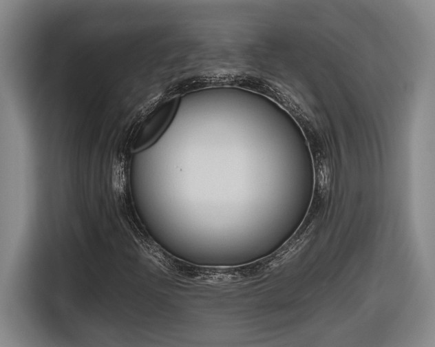 X0000116681204200912211617