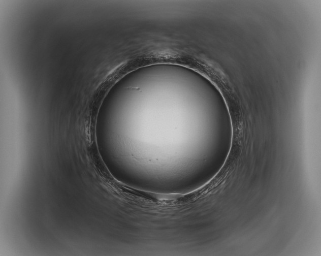 X0000116681205200912211617