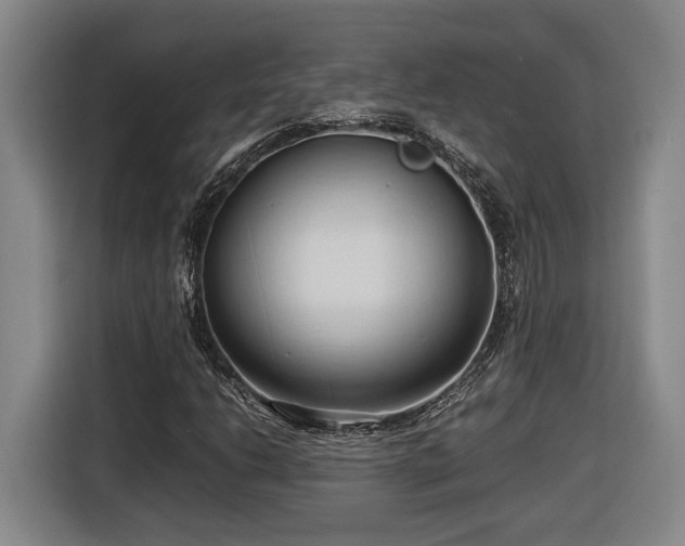 X0000116681206200912211617