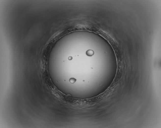 X0000116681207200912211617