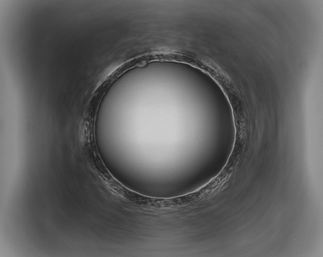 X0000116681208200912211617