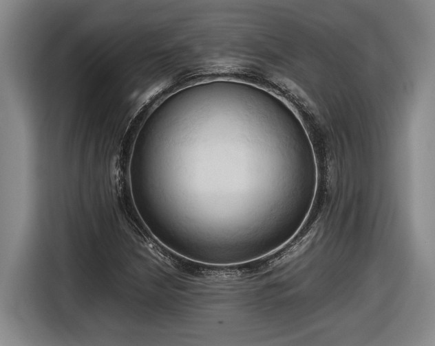 X0000116681210200912211617