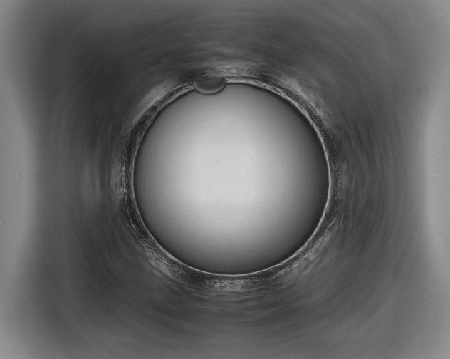 X0000116681211200912211617