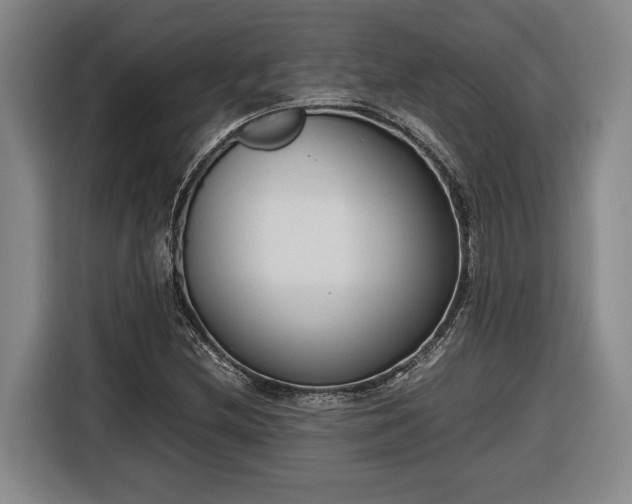 X0000116681212200912211617