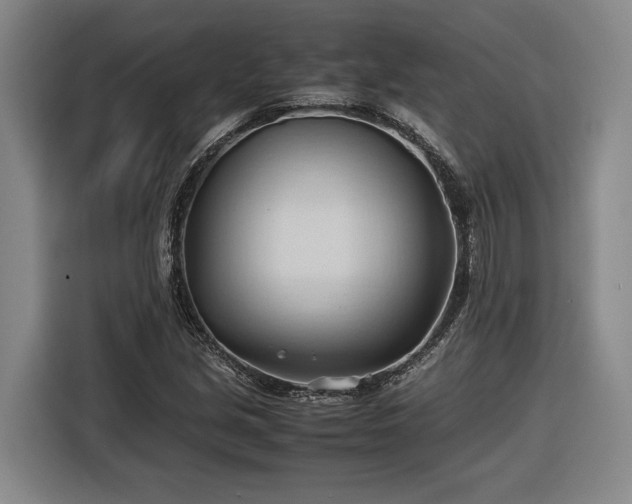 X0000116681213200912211617