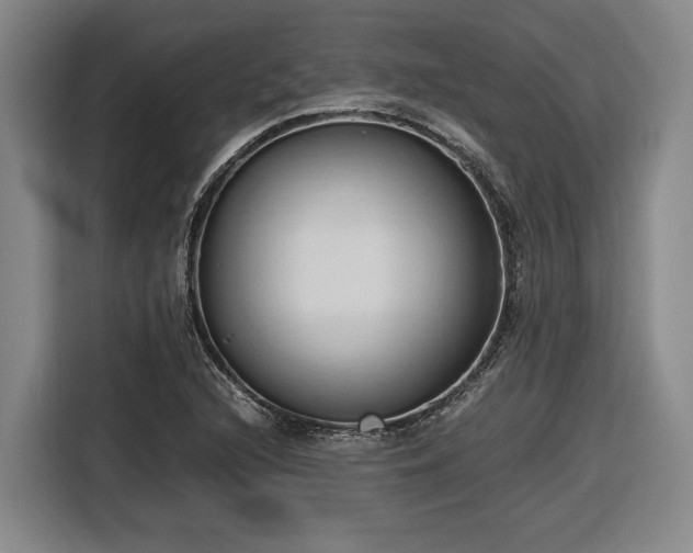 X0000116681216200912211617