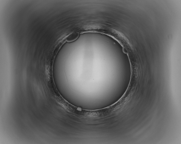 X0000116681217200912211617