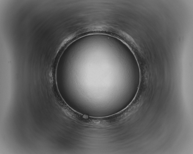 X0000116681218200912211617