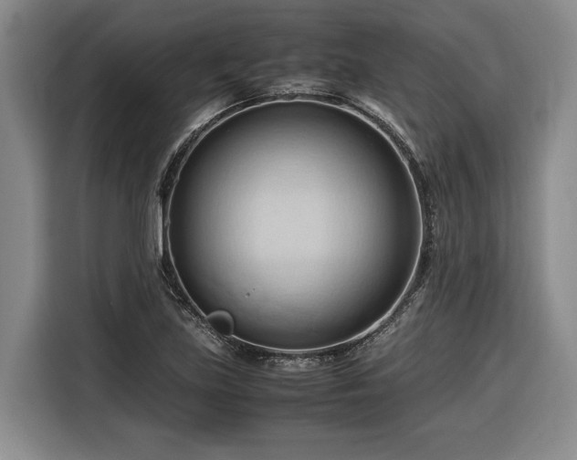 X0000116681219200912211617