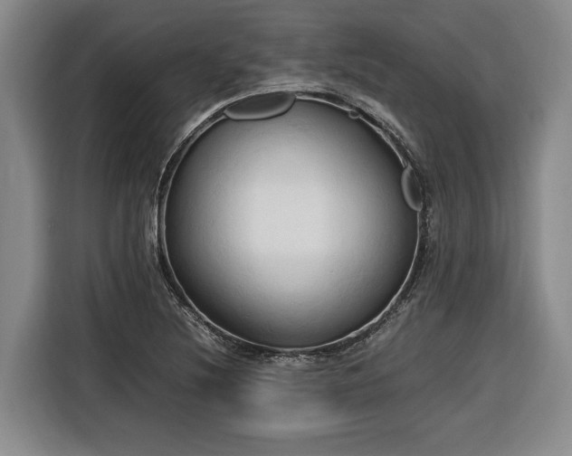 X0000116681220200912211617