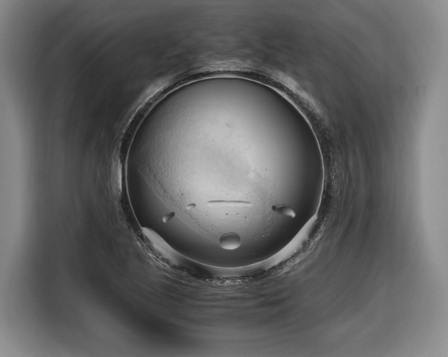 X0000116681221200912211617