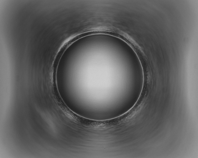 X0000116681222200912211617