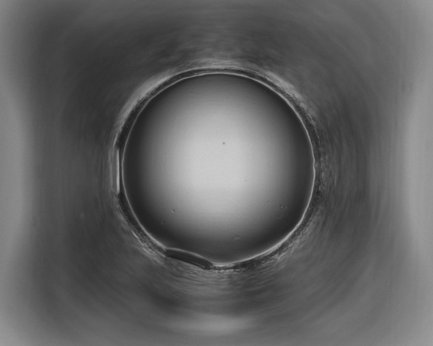 X0000116681223200912211617