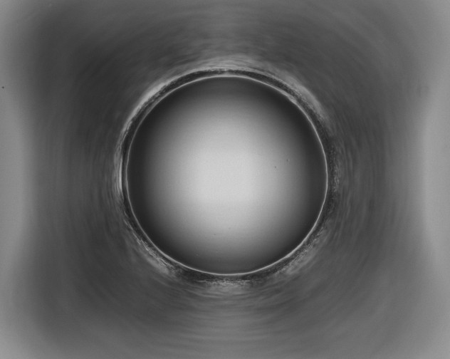 X0000116681224200912211617