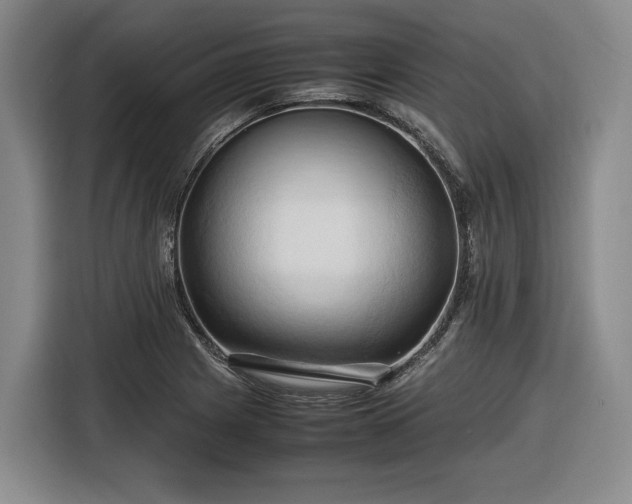 X0000116681225200912211617