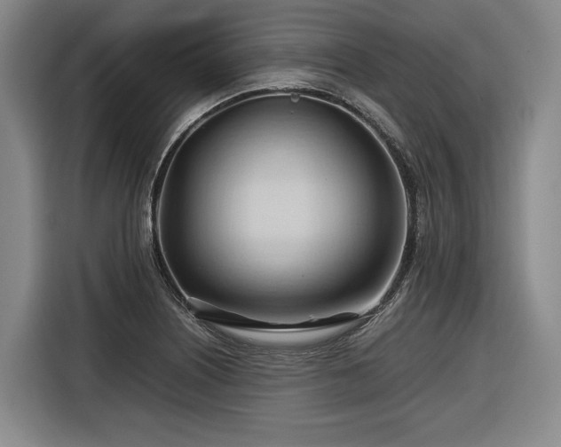 X0000116681226200912211617