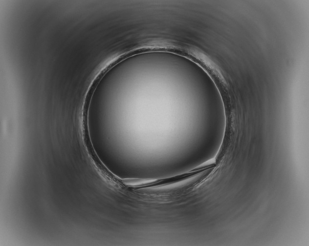 X0000116681229200912211617