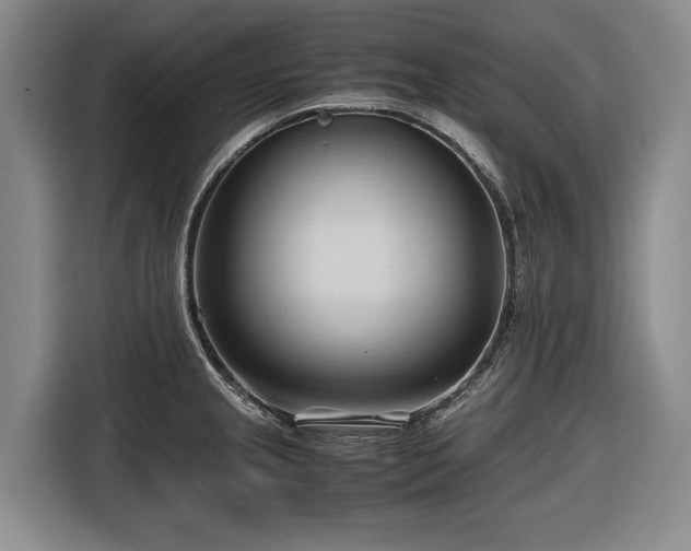 X0000116681237200912211617