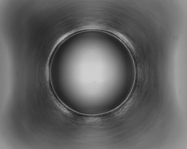 X0000116681238200912211617