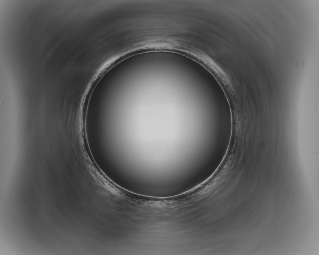 X0000116681240200912211617