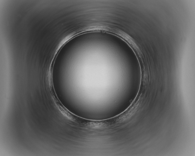 X0000116681242200912211617