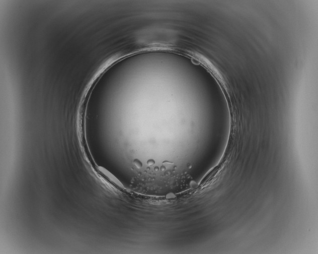 X0000116681243200912211617