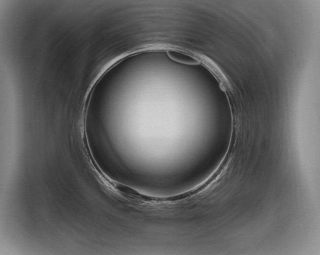 X0000116681244200912211617