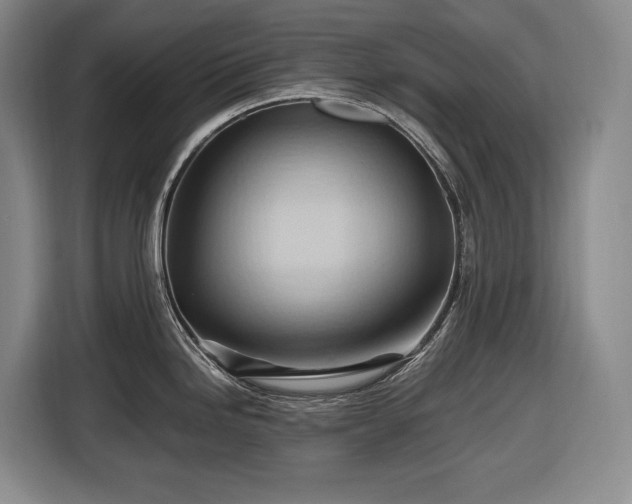 X0000116681246200912211617