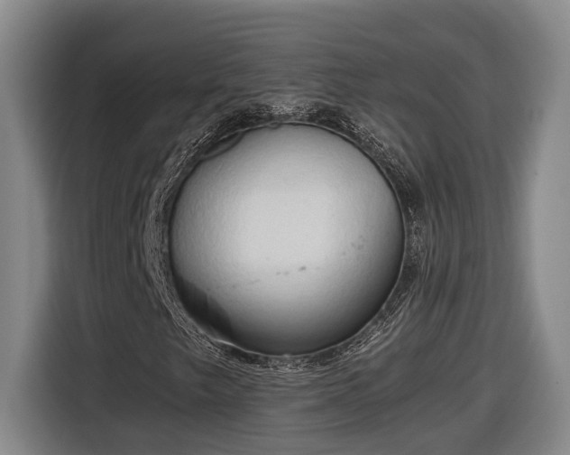 X0000116681249200912211617