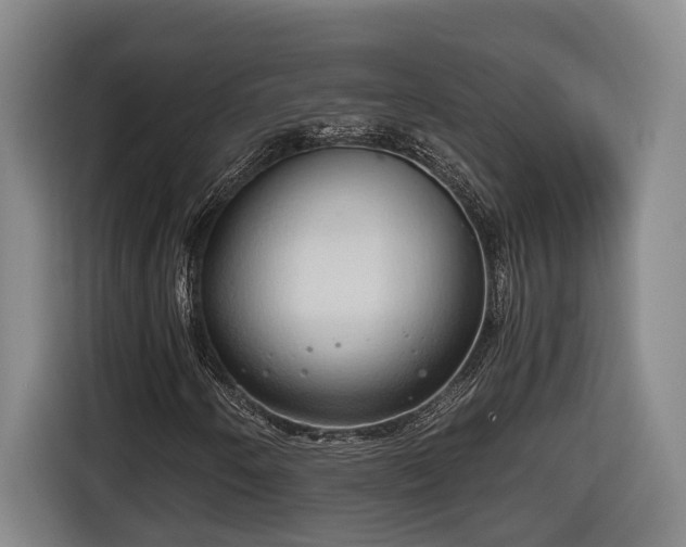 X0000116681250200912211617