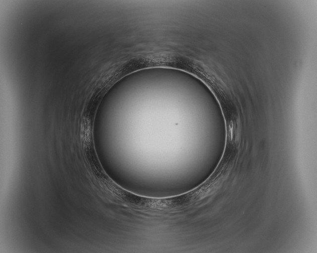 X0000116681251200912211617