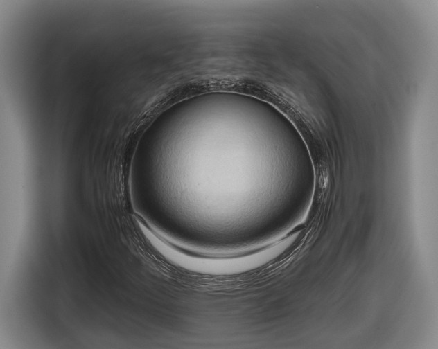 X0000116681252200912211617