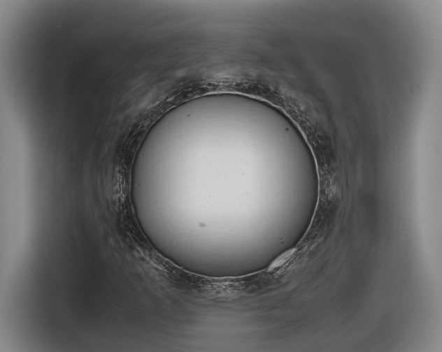 X0000116681253200912211617