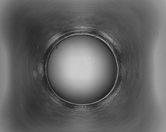 X0000116681259200912211617