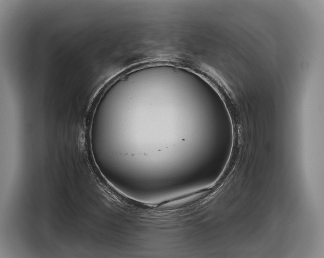 X0000116681260200912211617