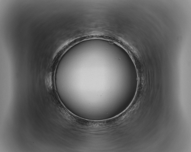 X0000116681262200912211617