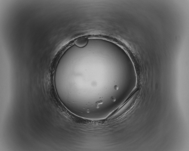 X0000116681263200912211617