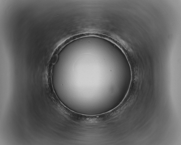 X0000116681264200912211617