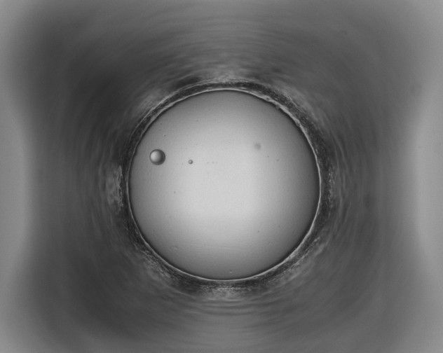 X0000116681265200912211617