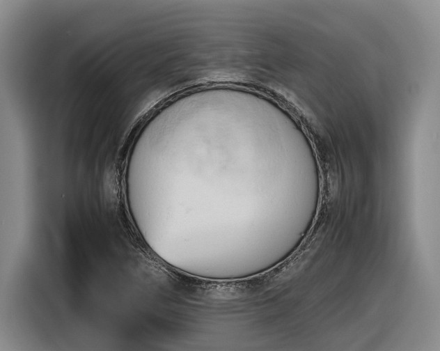 X0000116681266200912211617