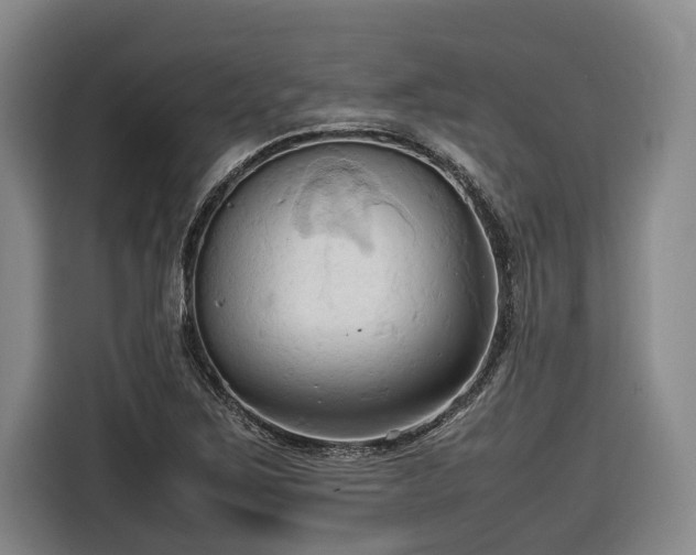 X0000116681267200912211617