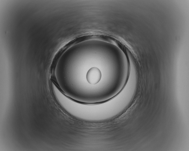 X0000116681269200912211617