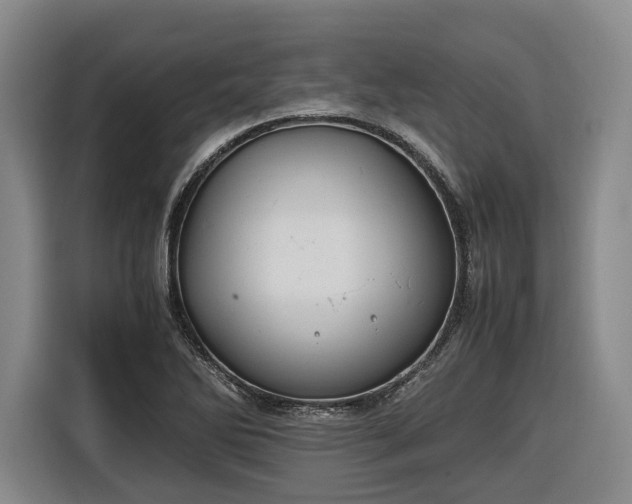 X0000116681270200912211616