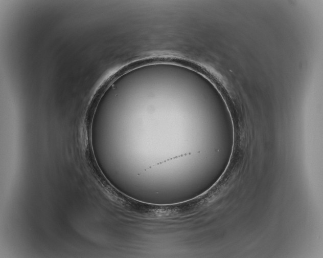 X0000116681271200912211616