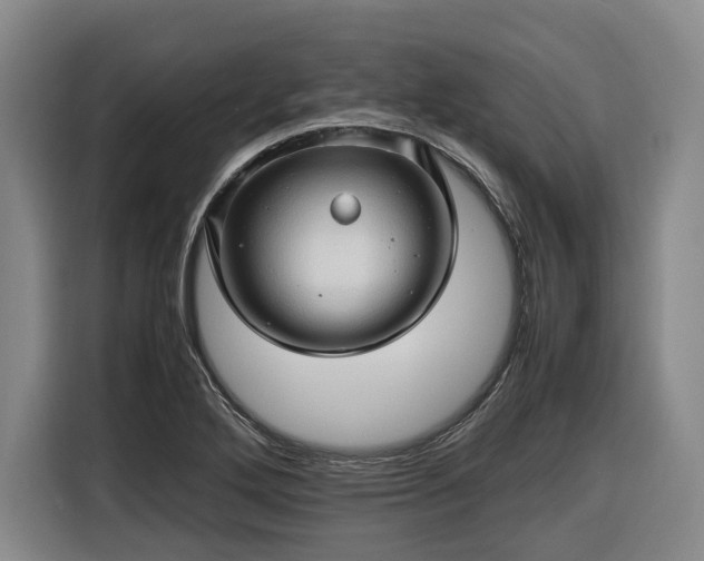 X0000116681272200912211616